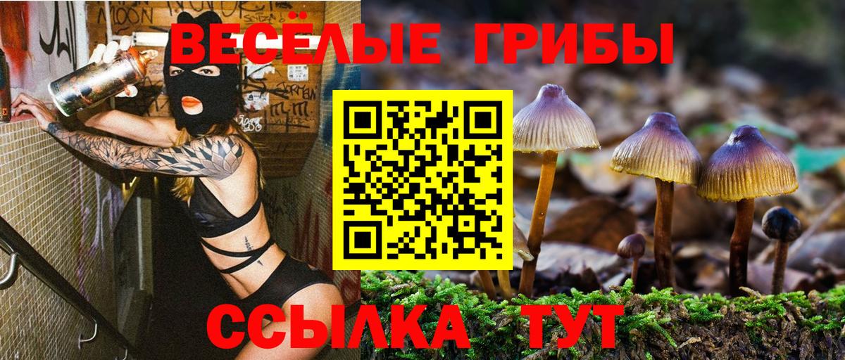 Галлюциногенные грибы Psilocybe  Вход с VPN  Энгельс 